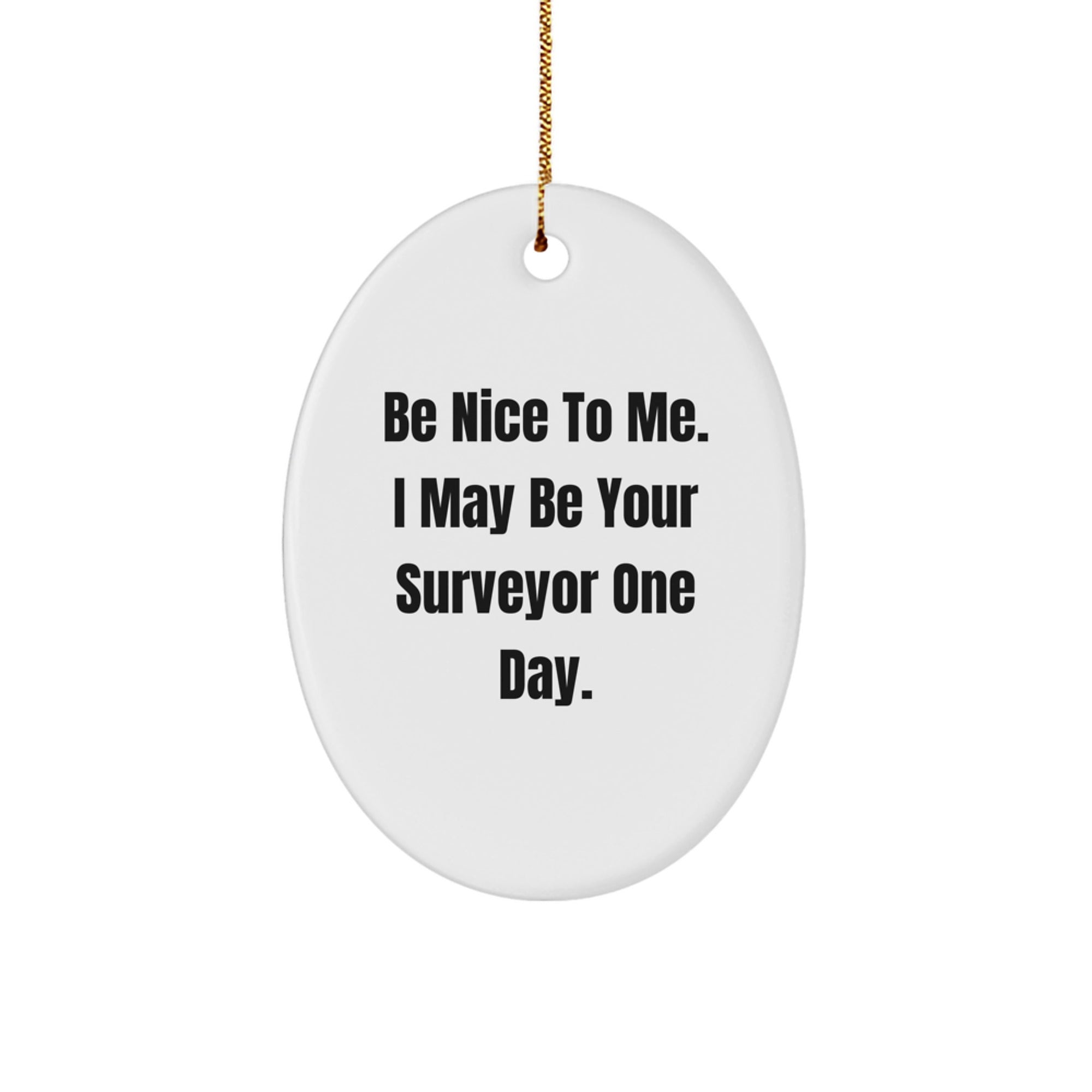Funny Surveyor Gifts from Friends - Oval Ornament for Christmas Unique Presents - Be Nice To Me Gift Ideas for Surveyor Friends Family - Image 1
