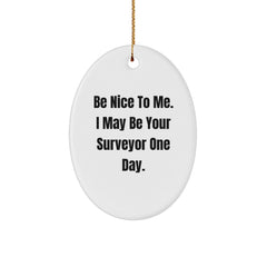 Funny Surveyor Gifts from Friends - Oval Ornament for Christmas Unique Presents - Be Nice To Me Gift Ideas for Surveyor Friends Family - Image 1