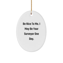 Funny Surveyor Gifts for Friends from Men - Oval Ornament with Be Nice To Me, I May Be Your Surveyor One Day. Quote, Christmas Unique Gifts for Surveyor - Image 1