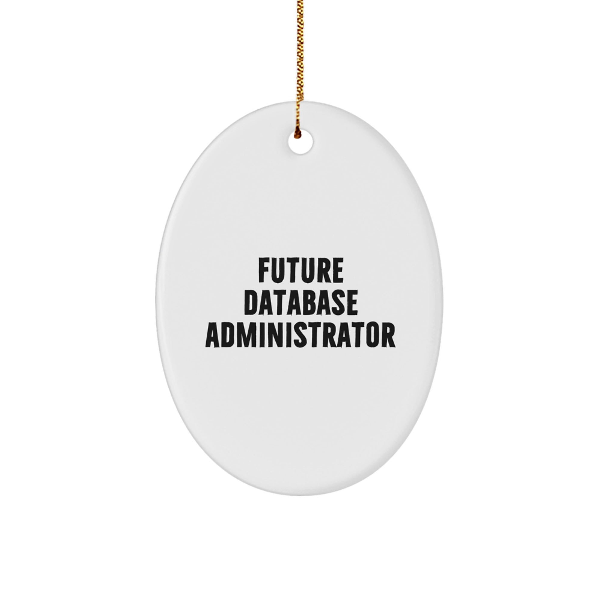 Gifts from Men to Future Database Administrators, Oval Christmas Ornaments for Database Administrator Friends - 'Future DBA in the Making' Quote - Image 1