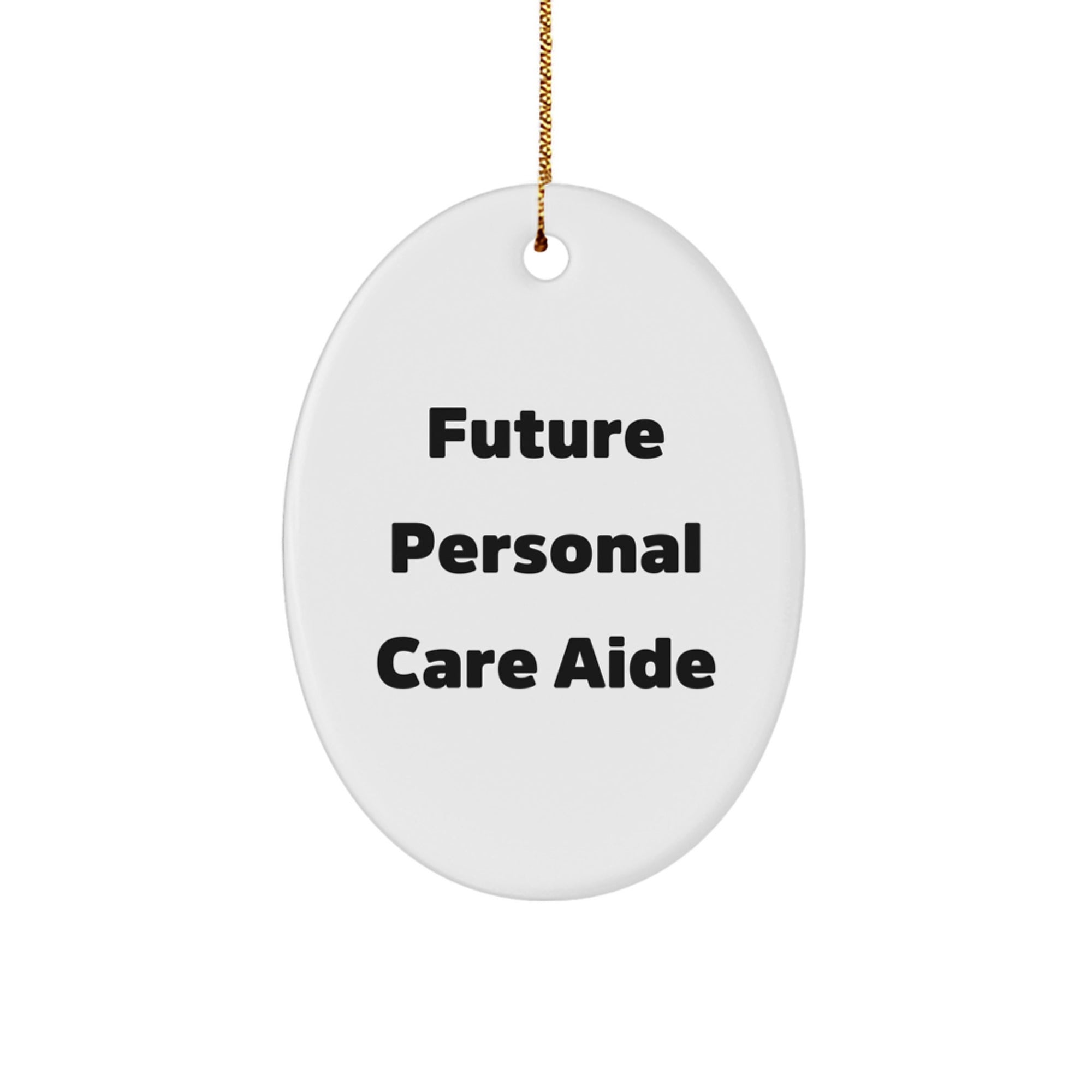 Funny Future Personal Care Aide Oval Ornament Gifts from Men to Friends, Personal Care Aide Christmas Unique Gifts for Women Home Decor, Oval Shape - Image 1