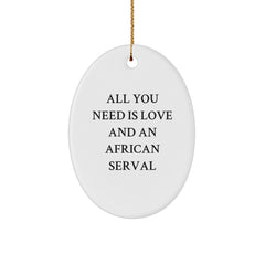 Funny African Serval Cat Oval Ornament Gifts from Friends to Family, African Serval Cat Lovers Christmas Unique Gifts - Image 1