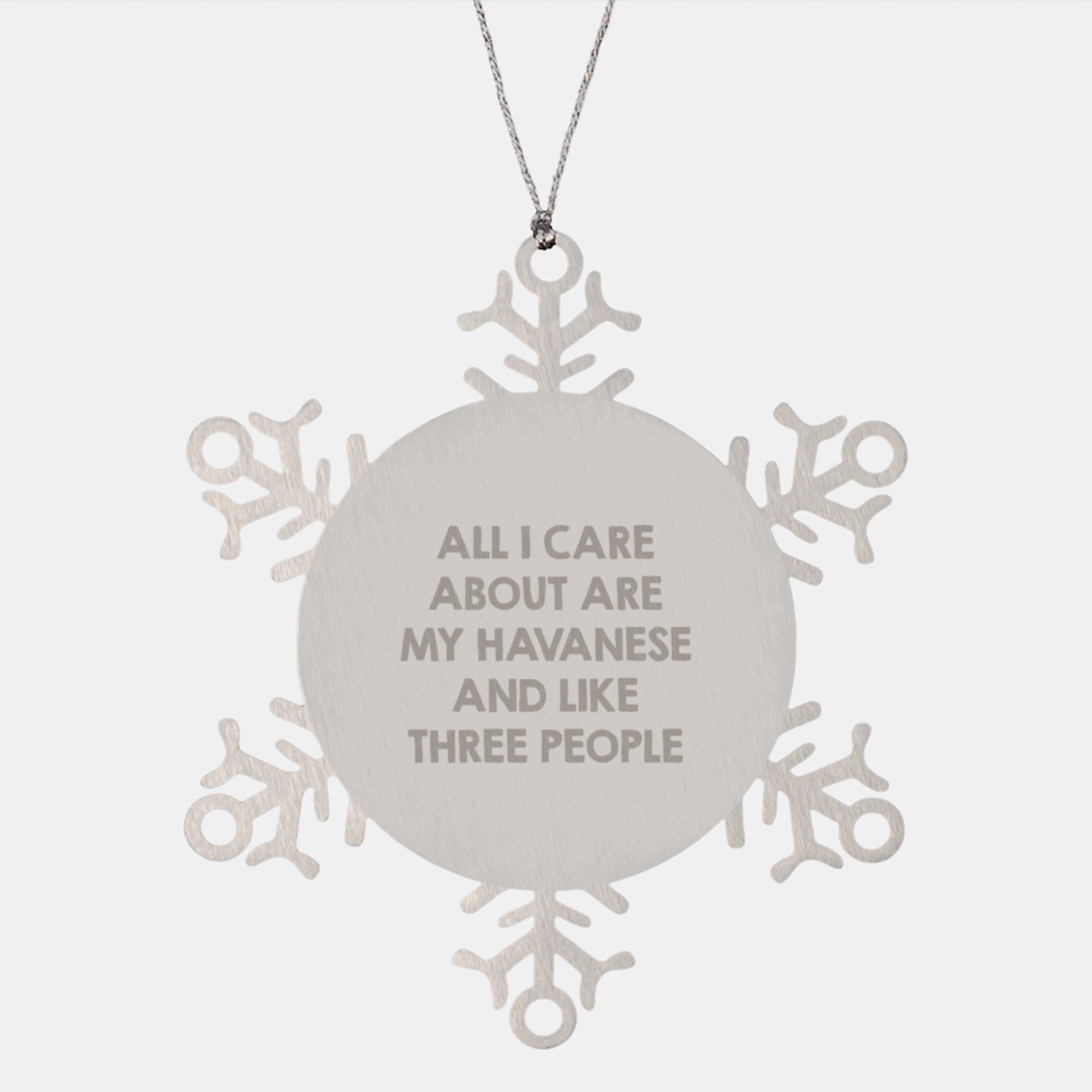 Havanese Dog Lover Gifts from Men Unique Snowflake Ornament, Funny Quote Christmas Unique Gifts for Havanese Dog Owners, Shatterproof Stainless Steel Snowflake - Image 1