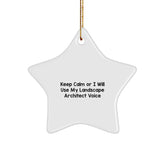Funny Landscape Architect Star Ornament Gifts from Friends and Family for Christmas Unique Decor - Image 1