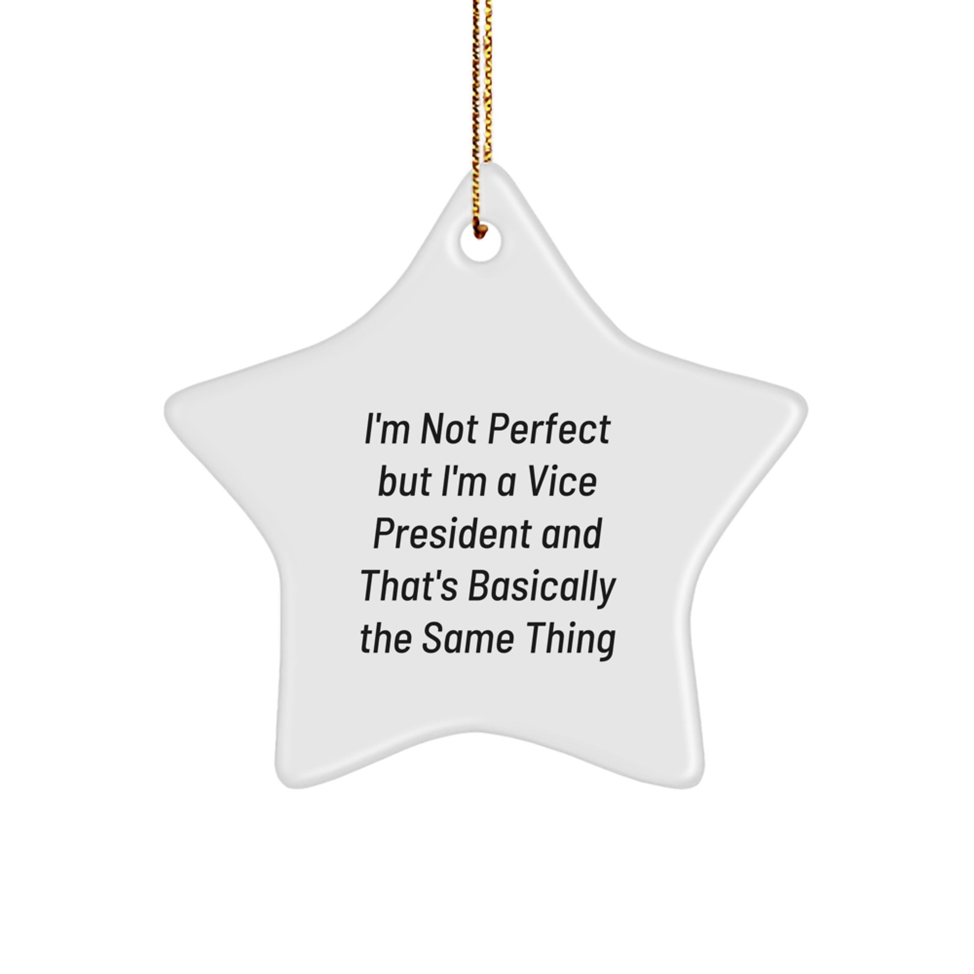 Vice President Gifts from Men, Funny Star Ornament, I'm Not Perfect, Christmas Unique Gifts for Vice President Men - Image 1