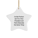 Vice President Gifts from Men, Funny Star Ornament, I'm Not Perfect, Christmas Unique Gifts for Vice President Men - Image 1