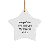 Funny Roofer Gifts from Men - Keep Calm Star Ornament for Women, Coworkers, and Family - Unique Christmas Decorations for Roofer Friends - Image 1