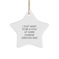 Chinese Crested Dog Dad Gifts, Funny Star Ornament for Christmas, 'I Just Want To Be A Stay At Home Chinese Crested Dad', Gifts from Men to Family - Image 1