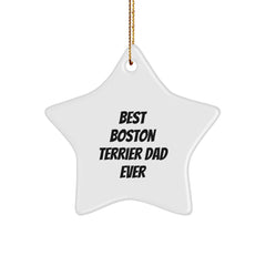 Boston Terrier Dad Gifts - Funny Star Ornament from Friends for Christmas - Image 1