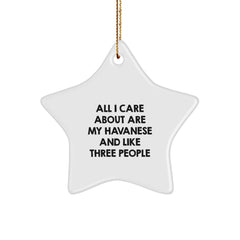 Funny Havanese Dog Owner Gifts from Men to Best Friend Havanese Dog Lover - Christmas Unique Star Ornament - Image 1
