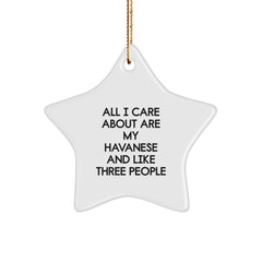 Funny Havanese Dog Lover Gifts from Friends and Family for Christmas Unique Star Ornaments - Image 1
