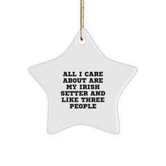 Irish Setter Dog Lover Gifts from Family - Star Ornament for Christmas Unique Presents - Image 1
