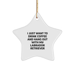 Labrador Retriever Dog Gifts, Funny Quote, Star Ornament, Gifts from Family to Friends, Christmas Unique Presents - Image 1