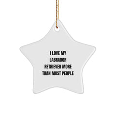 Funny Labrador Retriever Dog Star Ornament Gifts from Family, Christmas Unique Gifts for Labrador Retriever Dog Enthusiasts, I Love My Labrador Retriever - Image 1