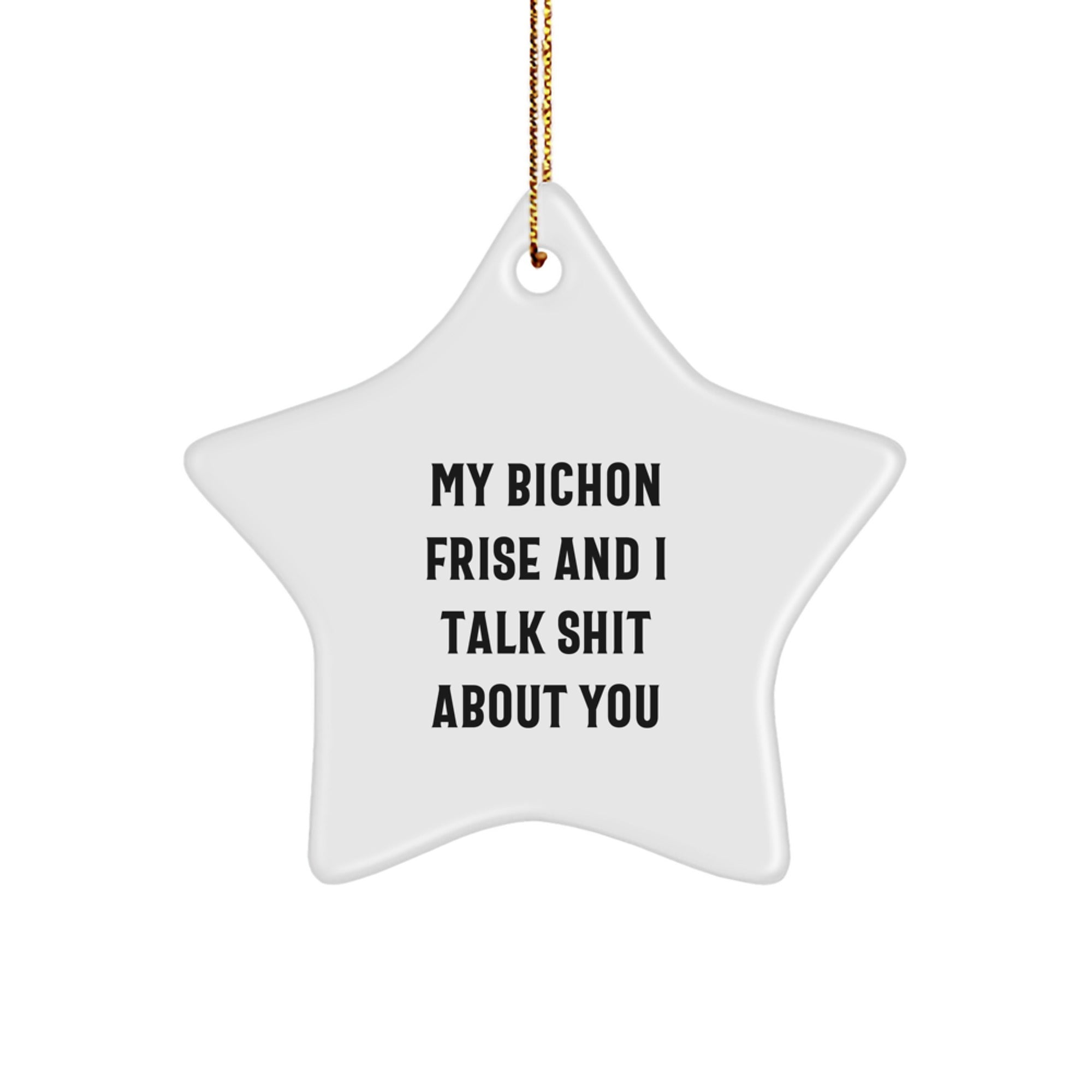Funny Bichon Frise Dog Lover Gifts for Friends, 'My Bichon Frise And I Talk Shit About You' Star Ornament - Image 1