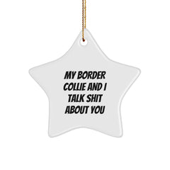 Funny Star Ornament for Border Collie Dog Lovers, Gifts from Family to Friends, Unique Christmas Decorations with 'My Border Collie And I Talk Shit About You' Quote - Image 1
