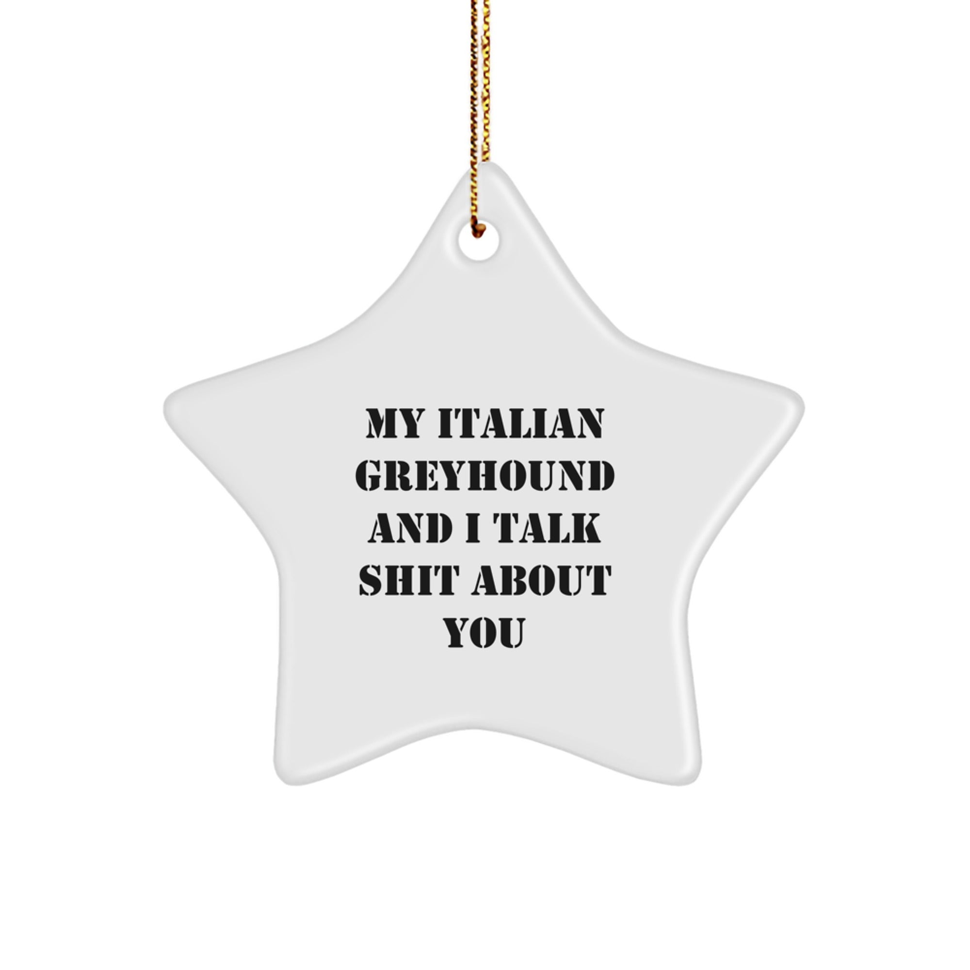 Funny Italian Greyhound Dog Gifts, My Italian Greyhound And I Talk Shit About You Star Ornament for Italian Greyhound Dog Lovers, Christmas Unique Gifts from Friends to Family - Image 1
