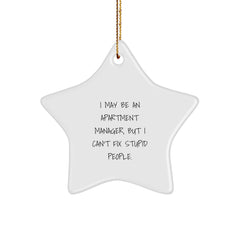 Funny Apartment Manager Gifts for Men, Unique Christmas Star Ornament, I May Be An 'I May Be An Apartment Manager, But I Can't Fix Stupid People.' Inspirational Decoration for Office, Desk, or Wall - Image 1