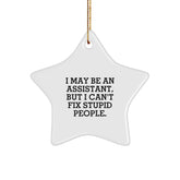 Funny Assistant Star Ornament Gifts from Friends, Coworkers, or Family for Christmas Unique Presents - Image 1