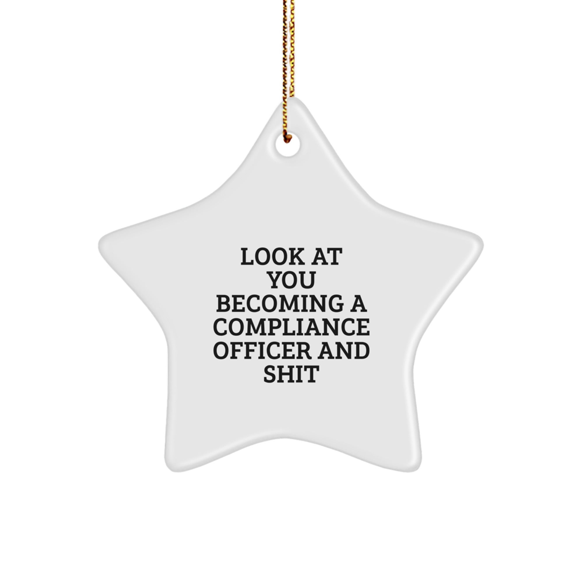 Gifts from Friends to Compliance Officer Funny Star Ornament Christmas Unique Decorations - Image 1