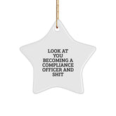 Gifts from Friends to Compliance Officer Funny Star Ornament Christmas Unique Decorations - Image 1