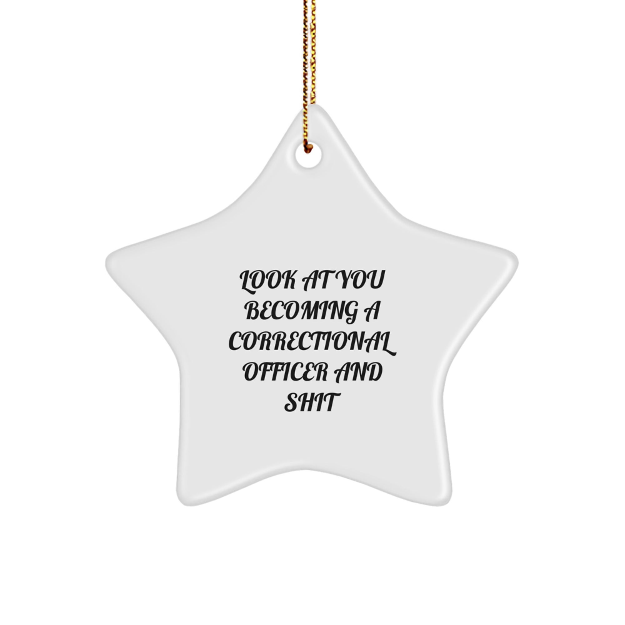 Funny Correctional Officer Gifts for Men, Star Ornament with 'Look At You Becoming A Correctional Officer And Shit', Christmas Unique Gifts from Friends - Image 1