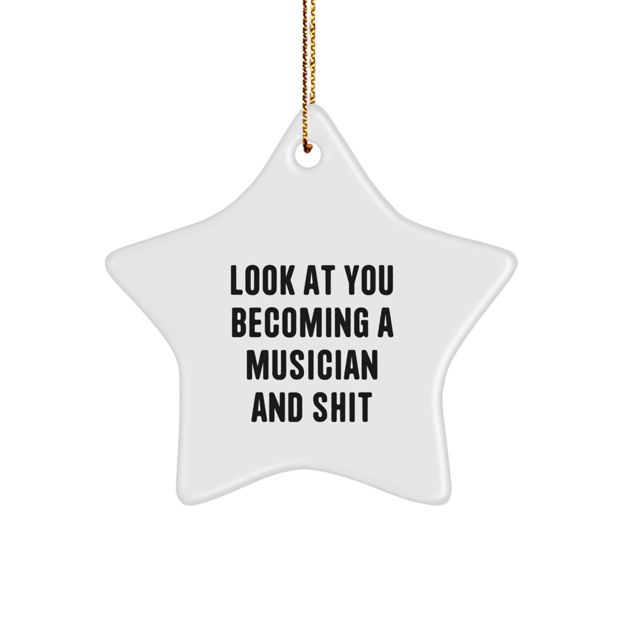 Funny Musician Star Ornament Gifts from Friends for Musician, Unique Christmas Decorations, Inspirational Star Ornament for Musician Room - Image 1