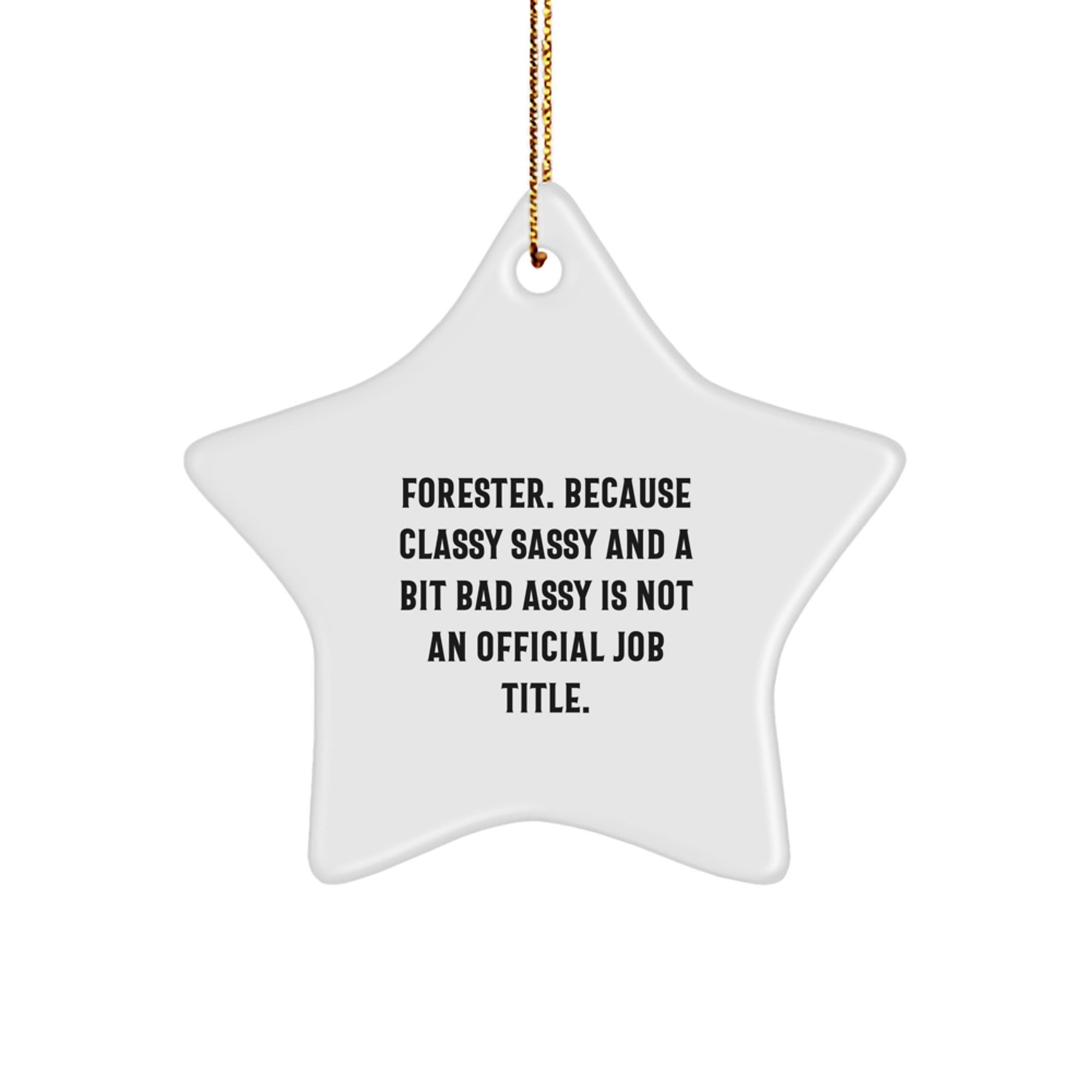 Funny Gifts for Forester, Classy Sassy Star Ornament, Christmas Unique Gifts from Friends or Family - Image 1