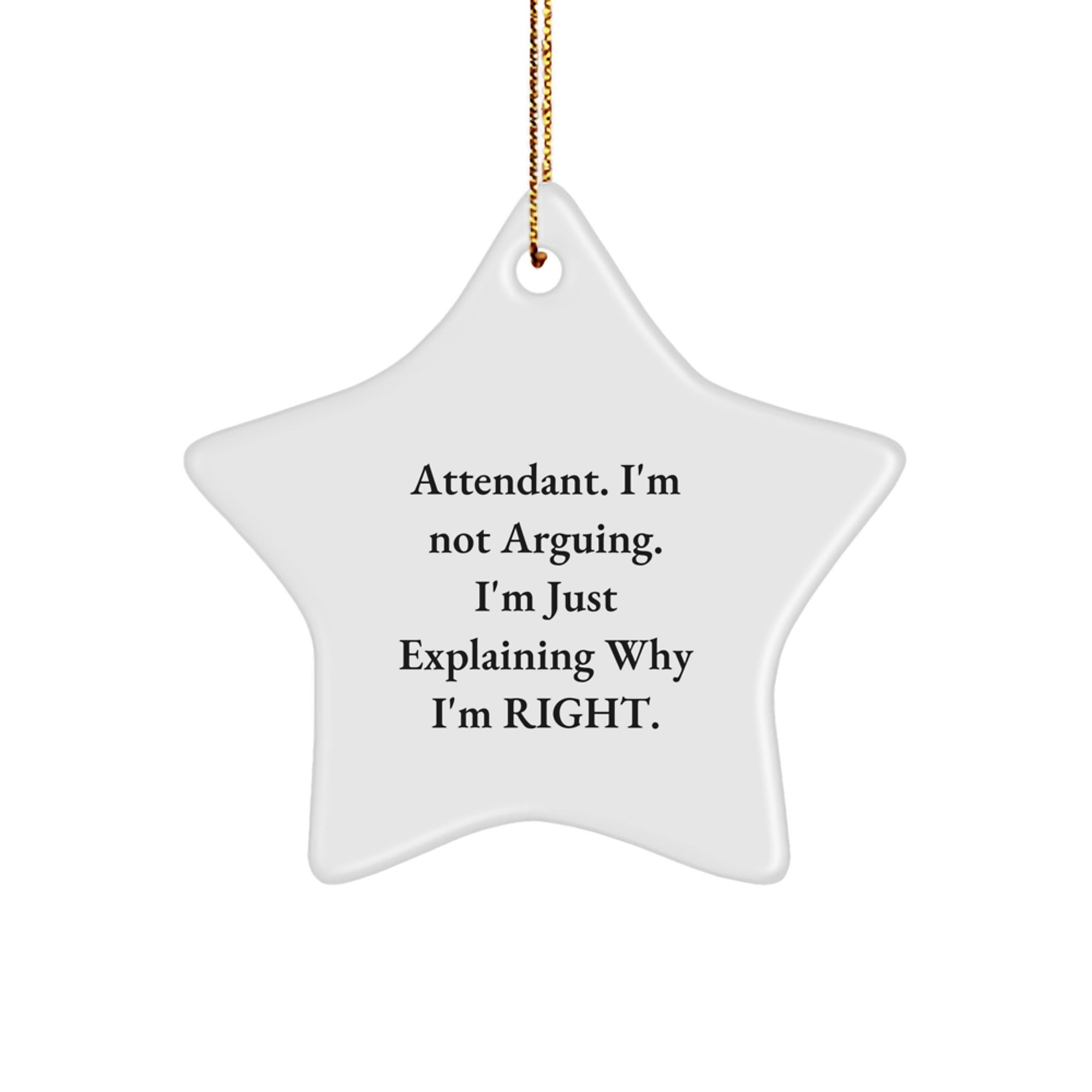 Funny Attendant Gifts from Men for Christmas Unique Star Ornament, Explaining Why I'm Right, Attendant Star Ornament for Christmas Unique Gifts - Image 1