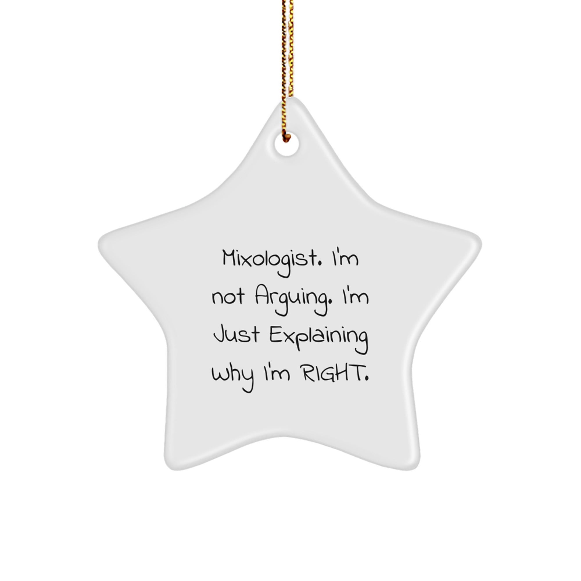Funny Mixologist Star Ornament Gifts from Friends, Unique Christmas Unique Gifts for Him, Her, or Bar, 'I'm Not Arguing, I'm Just Explaining Why I'm Right' Star Decor - Image 1