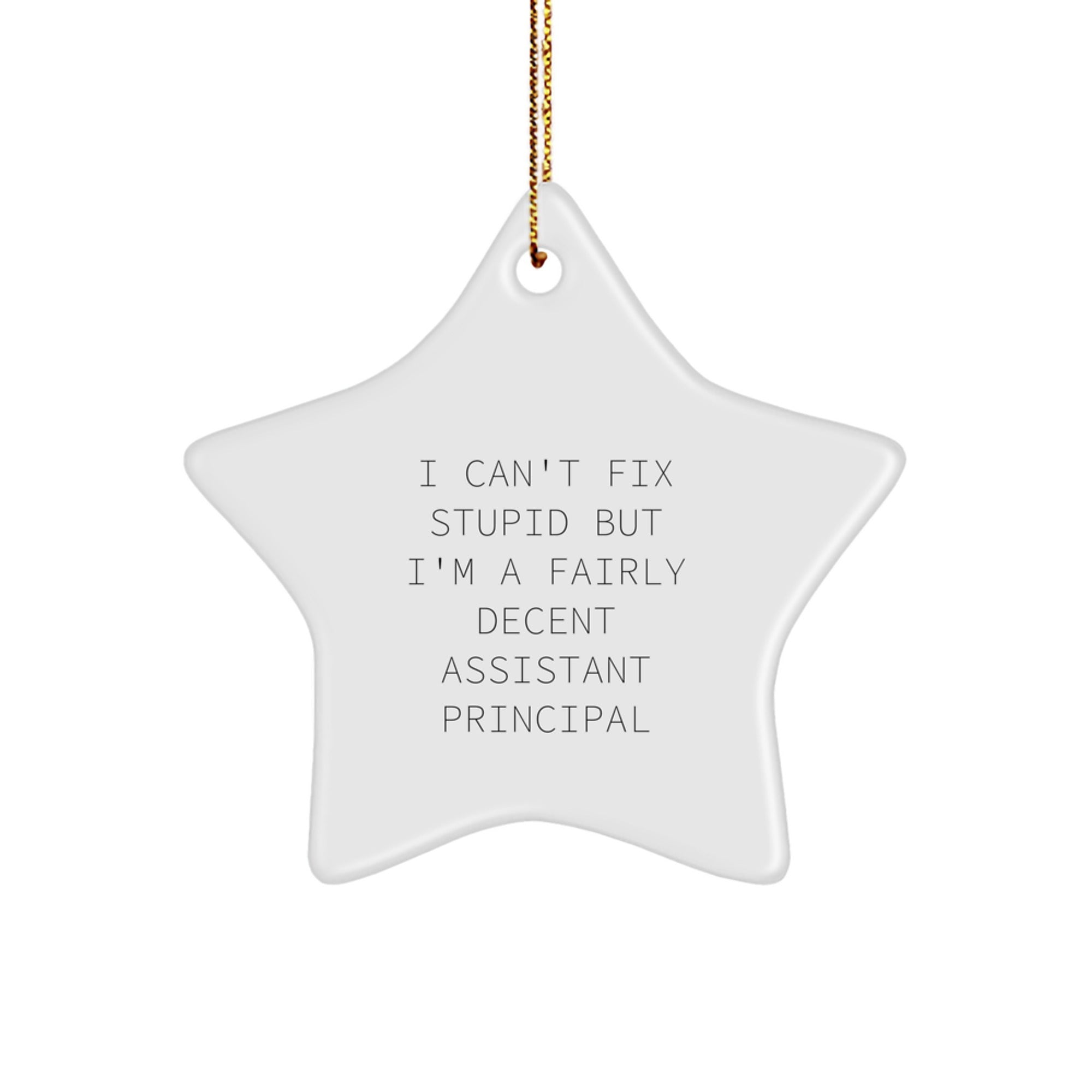 Funny Assistant Principal Gifts for Men - I Can't Fix Stupid Star Ornament - Christmas Unique Gifts from Friends - Image 1