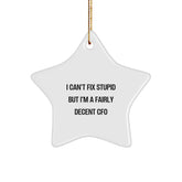 Funny CFO Gifts from Friends and Family, Christmas Unique Gifts for Men Women, 'I Can't Fix Stupid But I'm A Fairly Decent Cfo' Star Ornament - Image 1