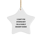 Funny Guide Gifts from Friends, Unique Star Ornament for Guide Enthusiasts, Christmas Unique Gifts, Gifts for Guide, A Fairly Decent Pick - Image 1