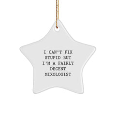 Funny Mixologist Gifts from Friends - Mixologist Star Ornament Christmas Decoration for Men Women Family - I Can't Fix Stupid But I'm A Fairly Decent Mixologist - Image 1