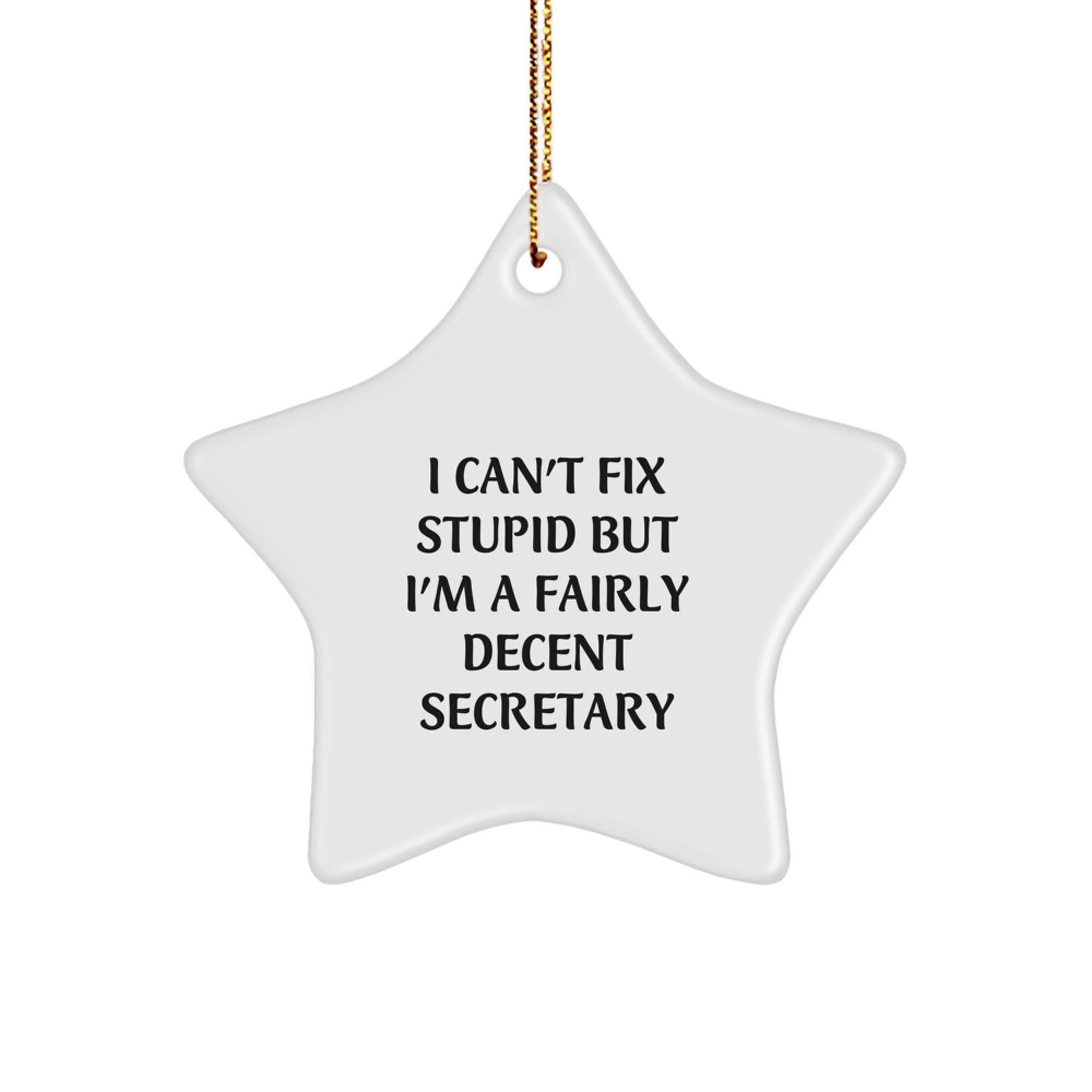 Funny Secretary Gifts from Friends - I Can't Fix Stupid But I'm A Fairly Decent Secretary Star Ornament for Christmas - Image 1