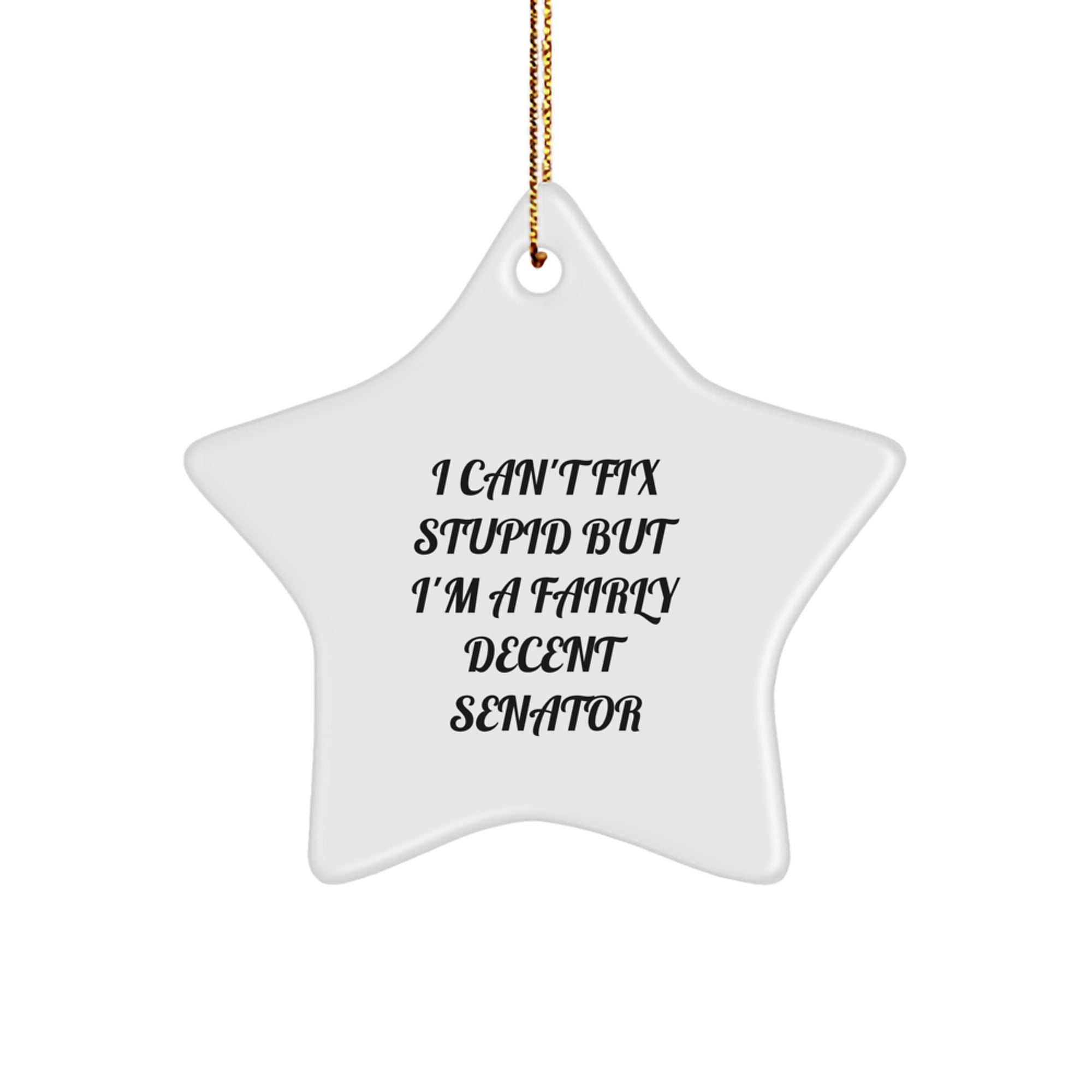 Funny Senator Gift, I'm A Fairly Decent Senator Star Ornament for Christmas Unique Gifts from Friends to Senator Men - Image 1