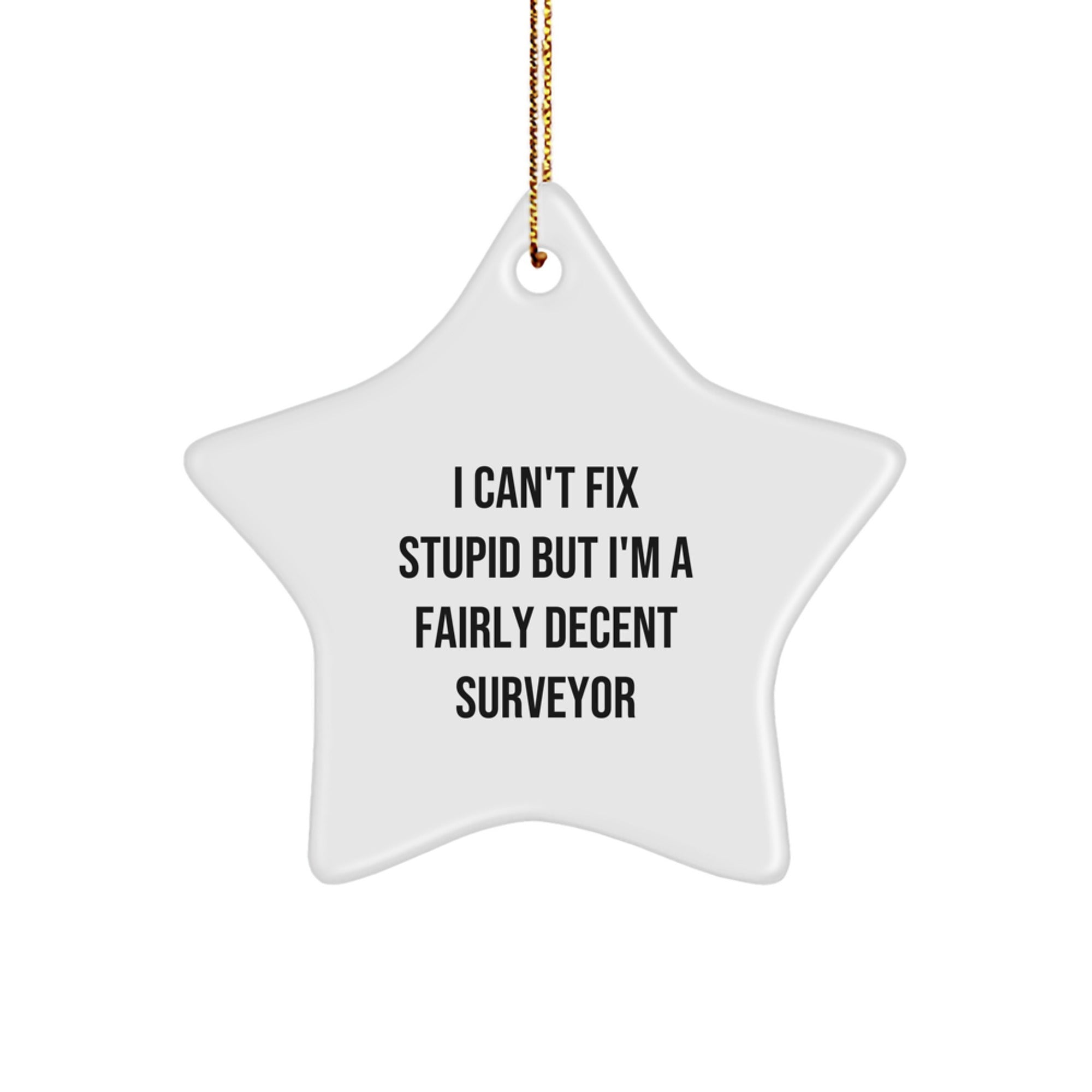 Funny Surveyor Star Ornament Gift from Friends for Surveyor - I Can't Fix Stupid But I'm A Fairly Decent Surveyor - Image 1