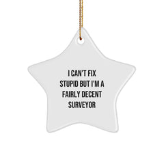 Funny Surveyor Star Ornament Gift from Friends for Surveyor - I Can't Fix Stupid But I'm A Fairly Decent Surveyor - Image 1