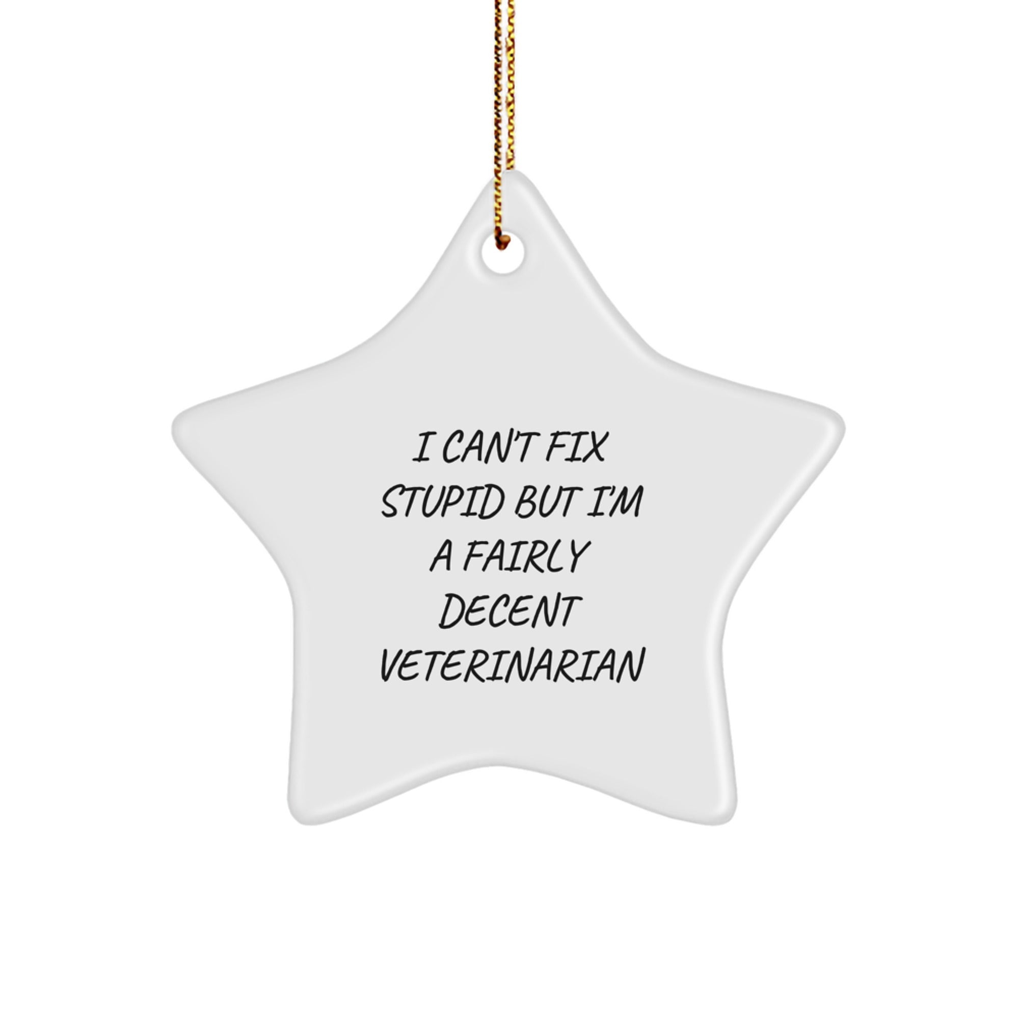Funny Veterinarian Gifts, Star Ornament, 'I Can't Fix Stupid But I'm A Fairly Decent Veterinarian', Christmas Unique Gifts from Men for Veterinarian, Veterinarian Office Decor - Image 1