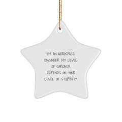 Aerospace Engineer Gifts from Friends, Funny Star Ornament for Christmas, 'I'm An Aerospace Engineer' Sarcasm Quote - Image 1