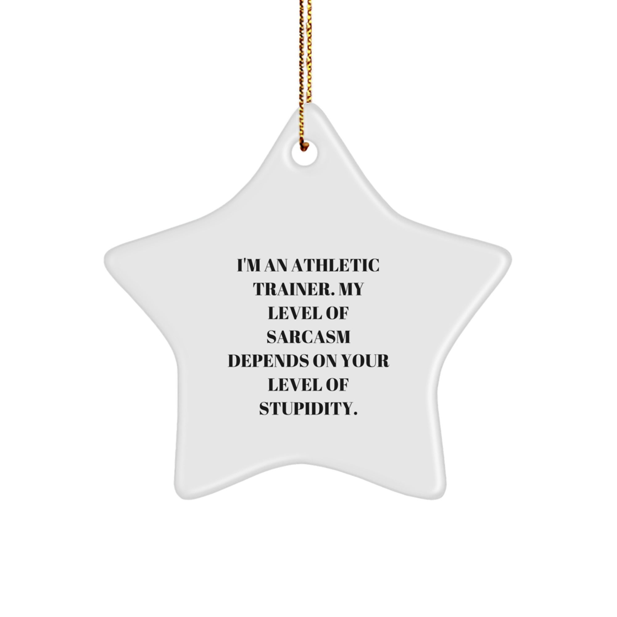 Funny Athletic Trainer Gifts from Friends and Family - Star Ornament with I'm An Athletic Trainer. My Level Of Sarcasm Depends On Your Level Of Stupidity. - Image 1