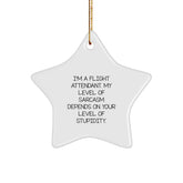 Funny Flight Attendant Gifts from Friends - Star Ornament Quote 'I'm A Flight Attendant. My Level Of Sarcasm Depends On Your Level Of Stupidity.' for Christmas - Image 1