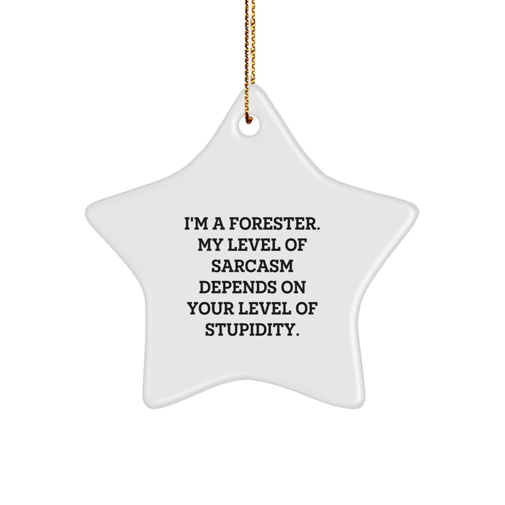 Forester's Sassy Star Ornament, Funny Christmas Unique Gift for Men from Friends, Funny Gifts for Forester, Star Ornament Gifts from Family, Forester Gifts for Christmas - Image 1