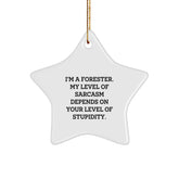 Forester's Sassy Star Ornament, Funny Christmas Unique Gift for Men from Friends, Funny Gifts for Forester, Star Ornament Gifts from Family, Forester Gifts for Christmas - Image 1