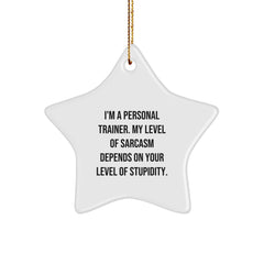 Personal Trainer Gifts from Friends Christmas Star Ornament with Sarcasm Quote, 'I'm A Personal Trainer. My Level Of Sarcasm Depends On Your Level Of Stupidity.' for Men or Women - Image 1
