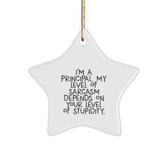 Funny Principal Gifts, I'm A Principal, My Level Of Sarcasm Depends On Your Level Of Stupidity. Star Ornament for Christmas Unique Gifts from Friends to Principal - Image 1