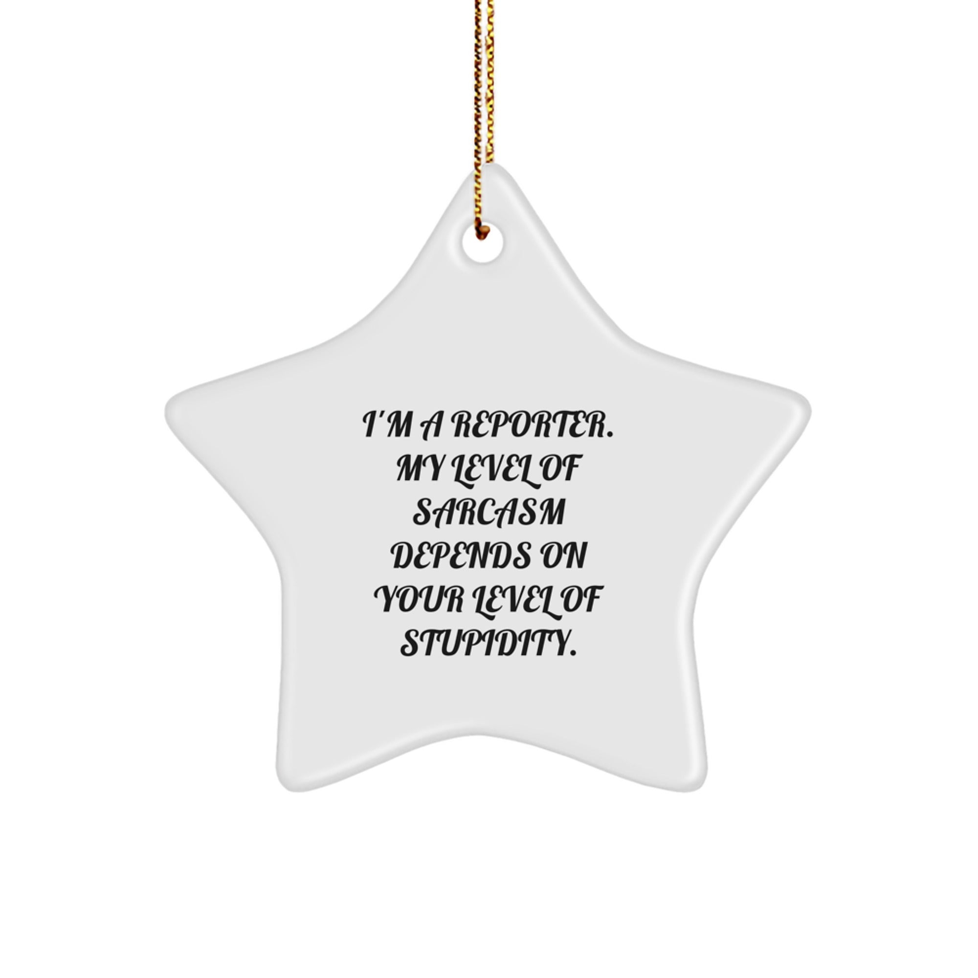 Reporter's Gift: Funny Star Ornament with Sarcasm Quote, Gifts from Friends, Christmas Unique Gifts for Reporters - Image 1