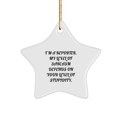 Reporter's Gift: Funny Star Ornament with Sarcasm Quote, Gifts from Friends, Christmas Unique Gifts for Reporters - Image 1