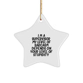 Funny Supervisor Star Ornament, Gifts from Friends and Family, 'I'm A Supervisor. My Level Of Sarcasm Depends On Your Level Of Stupidity.', Christmas Unique Gifts for Supervisor - Image 1
