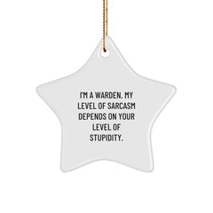 Warden Gifts Funny Star Ornament Christmas Warden Level Of Sarcasm Depends On Your Level Of Stupidity Gifts from Friends to Family - Image 1